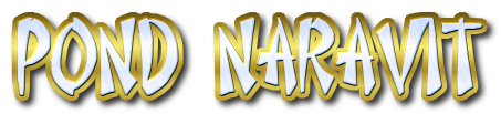 BACK TO NARAWIN WORLD